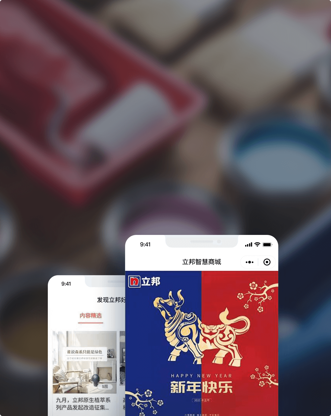 立邦 案例